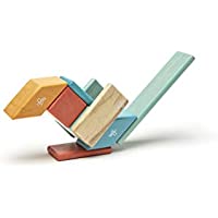 Tegu-14 Piece Magnetic Wooden Block Set