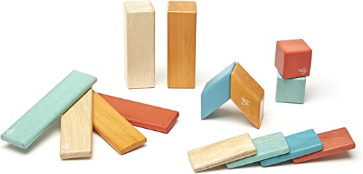 Tegu-14 Piece Magnetic Wooden Block Set