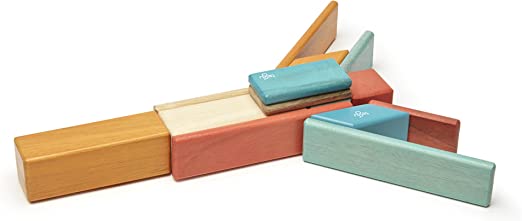 Tegu-14 Piece Magnetic Wooden Block Set