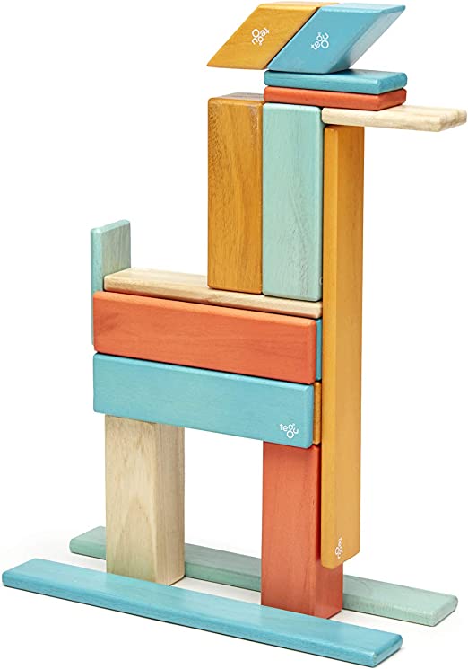 Tegu-24 Piece Magnetic Wooden Block Set