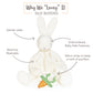 Bun Bun Bunny Silly Buddy