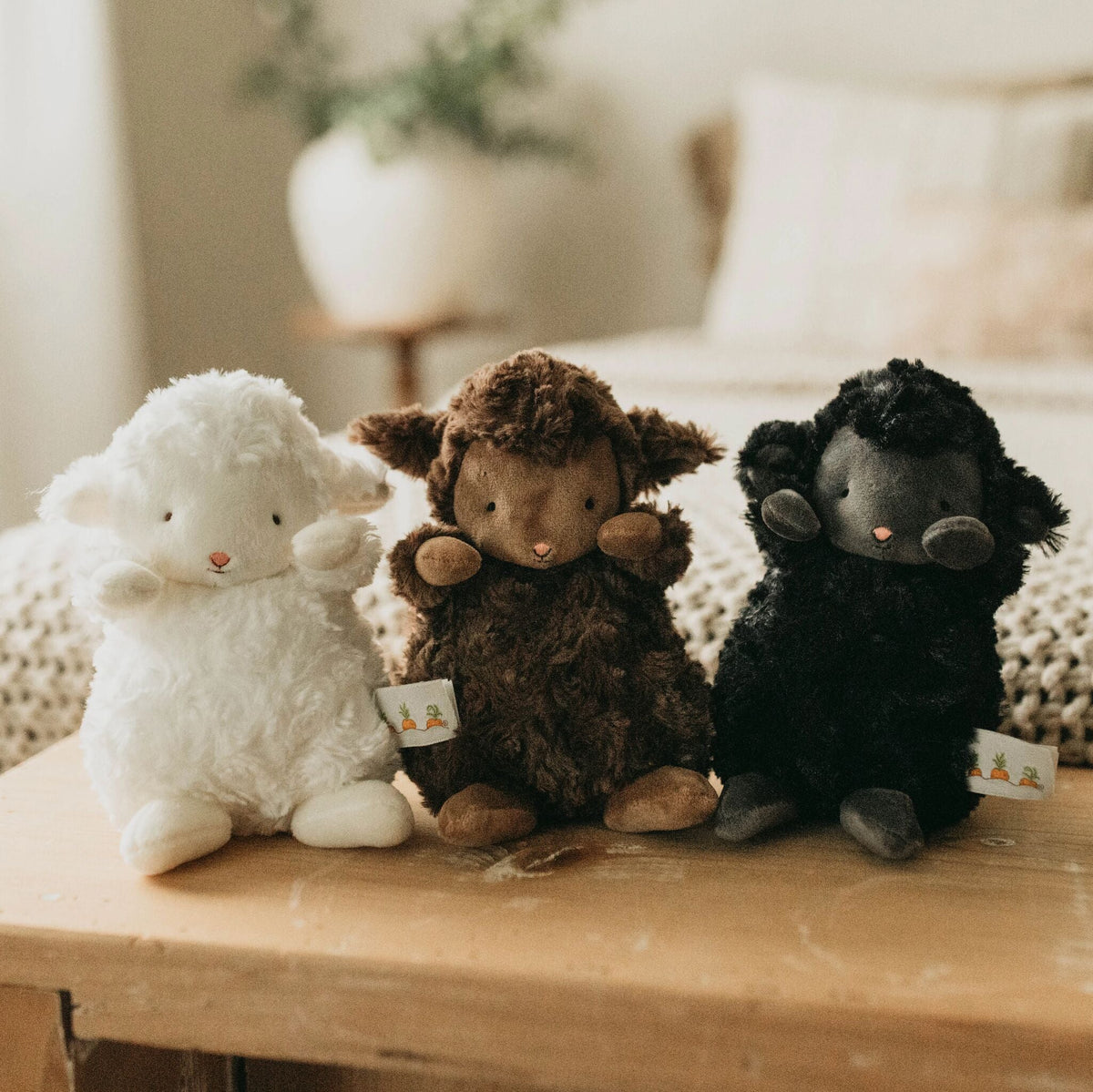 Wee Kiddo the Lamb - Cocoa