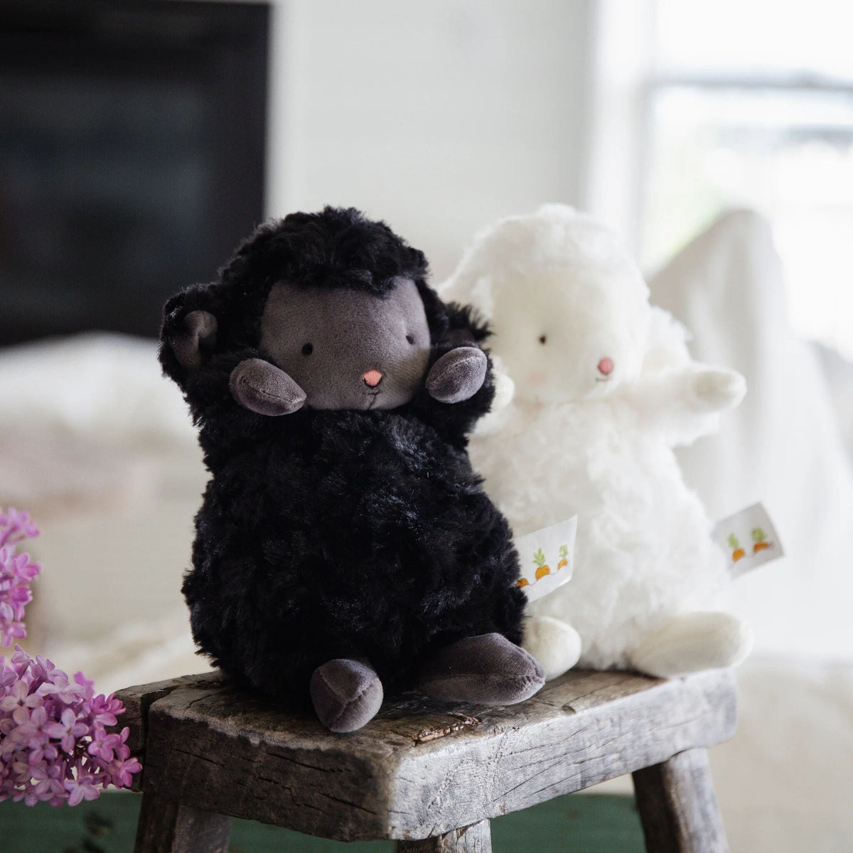 Wee Kiddo the Lamb - Black
