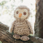 Blink The Owl