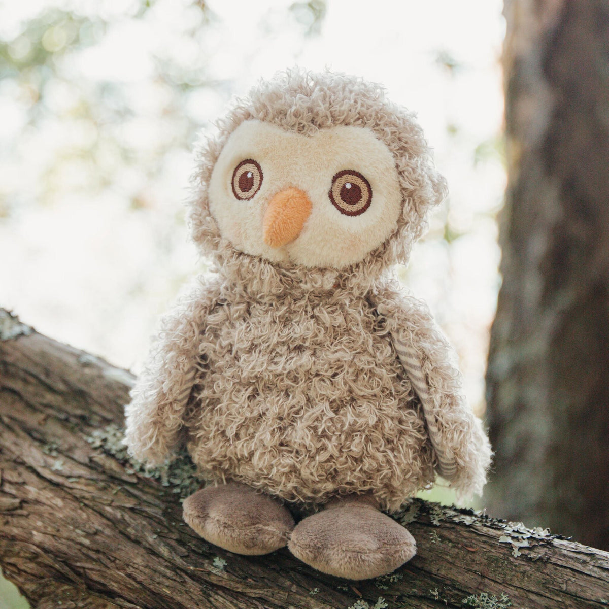 Blink The Owl