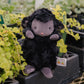 Wee Kiddo the Lamb - Black
