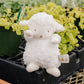 Wee Kiddo the Lamb - White