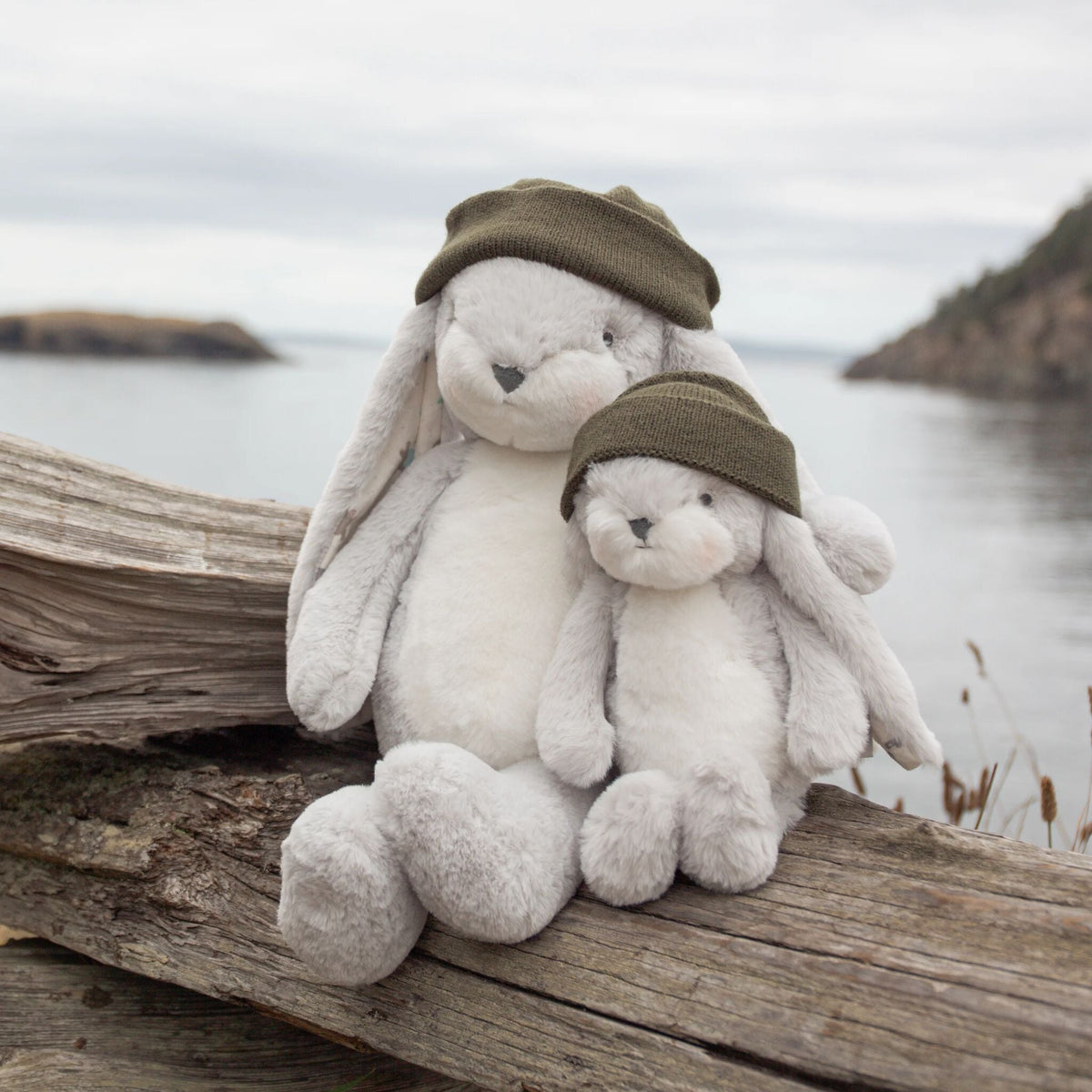 Cascadia PNW - Sweet 16" Floppy Nibble Bunny