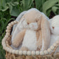 Wee 10" Floppy Nibble Bunny - Almond Joy