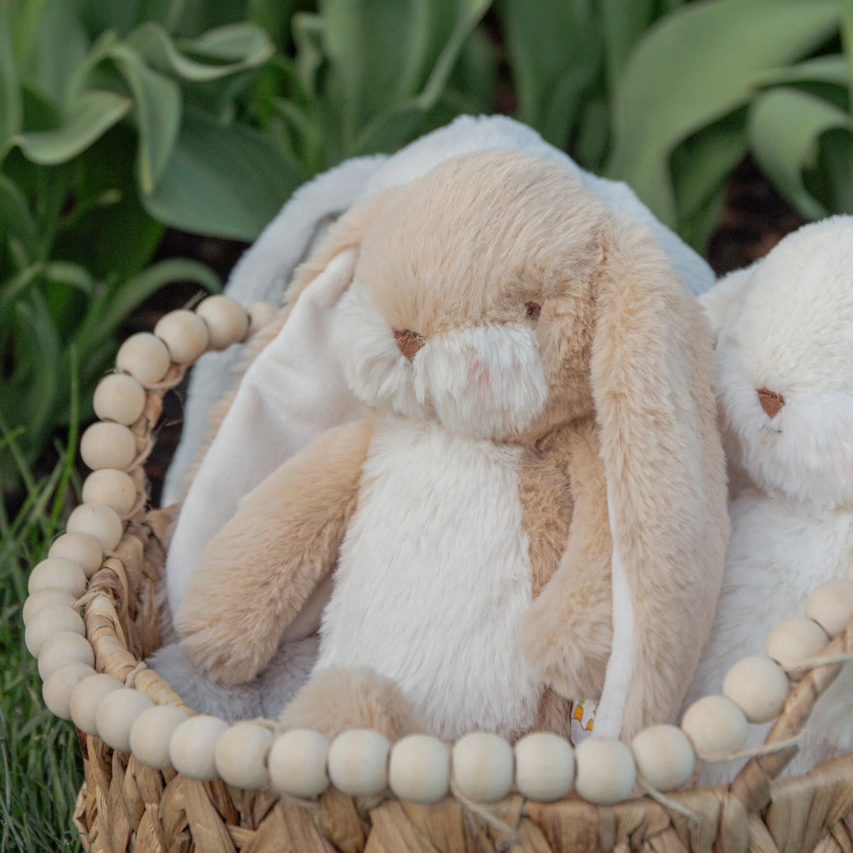 Wee 10" Floppy Nibble Bunny - Almond Joy