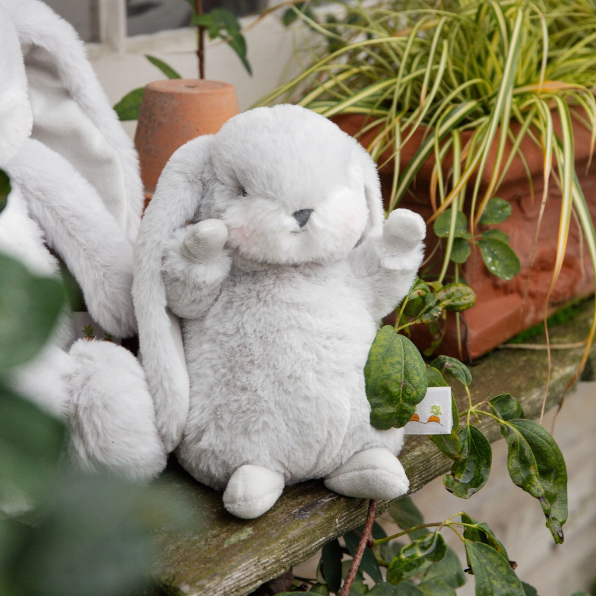Tiny Nibble  8" Bunny -  Gray
