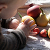 Fruit set / Mini