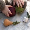 Vegetable set / Borscht