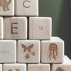 English Alphabet Blocks / Wooden