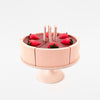 Cake on a stand / Chocolate