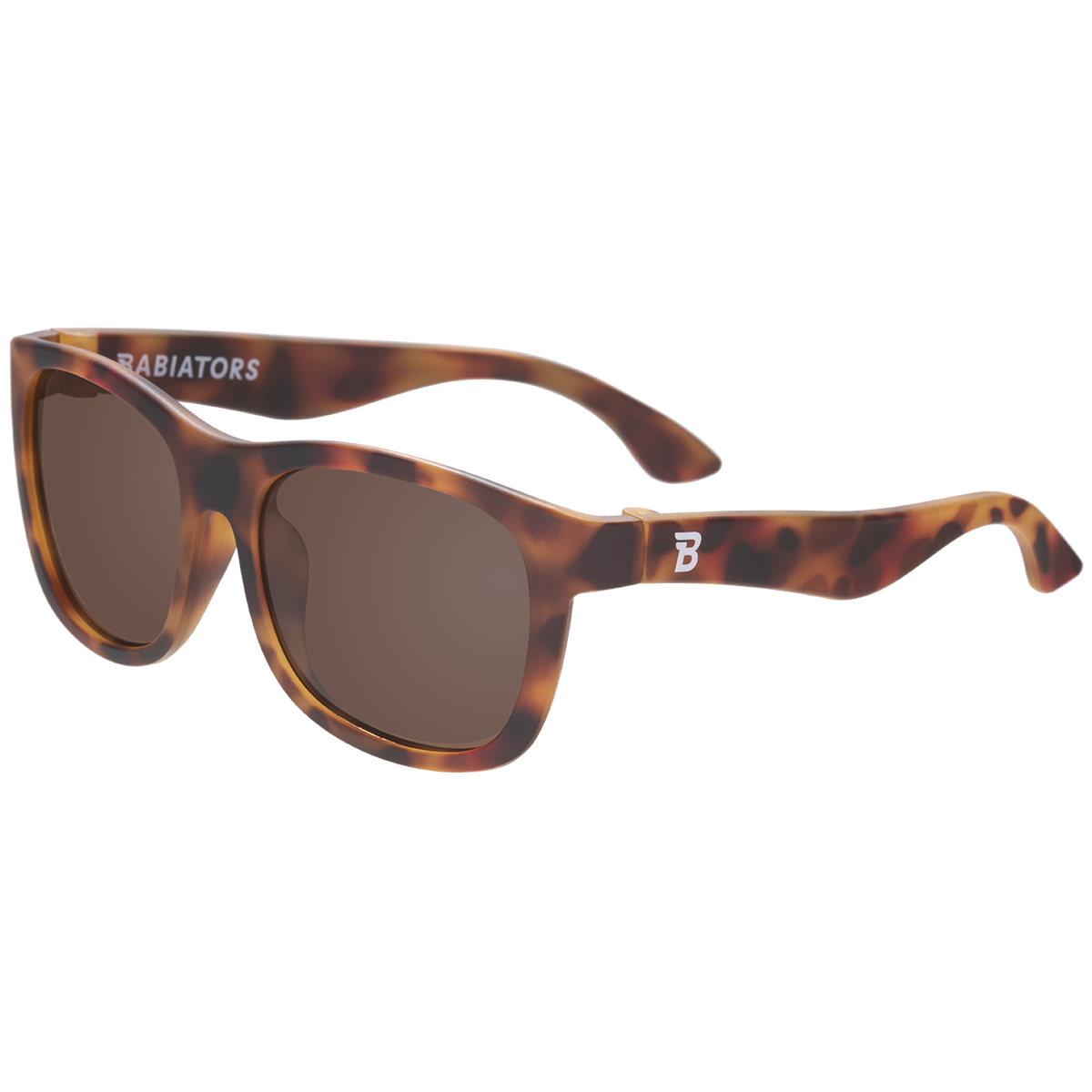 Navigator Sunglasses