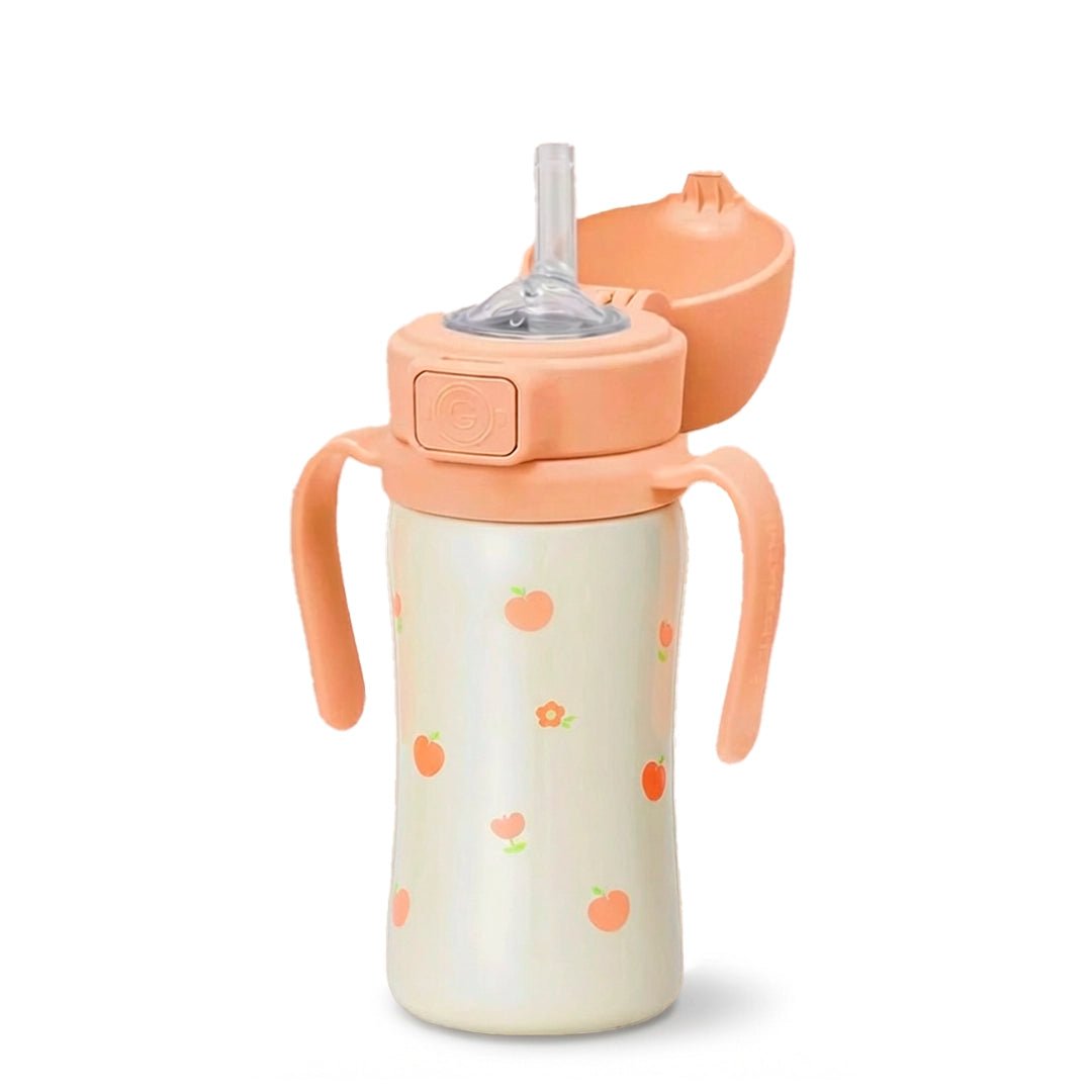 Grosmimi Stainless Steel Flip-Top Straw Cup - 300ml
