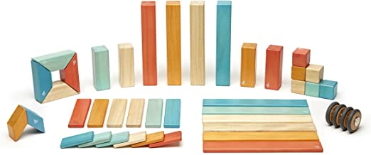 Tegu-42 Piece Magnetic Wooden Block Set
