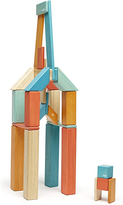 Tegu-42 Piece Magnetic Wooden Block Set