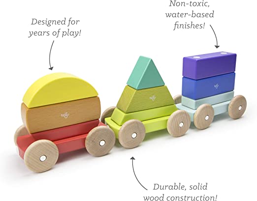 Tegu-Magnetic Shape Train