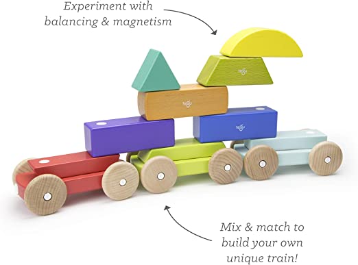 Tegu-Magnetic Shape Train