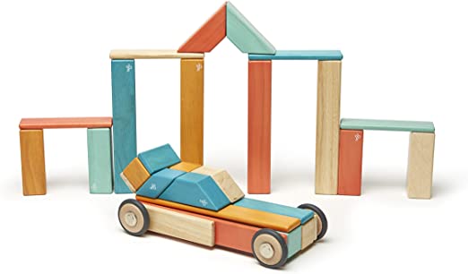 Tegu-42 Piece Magnetic Wooden Block Set