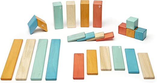 Tegu-24 Piece Magnetic Wooden Block Set