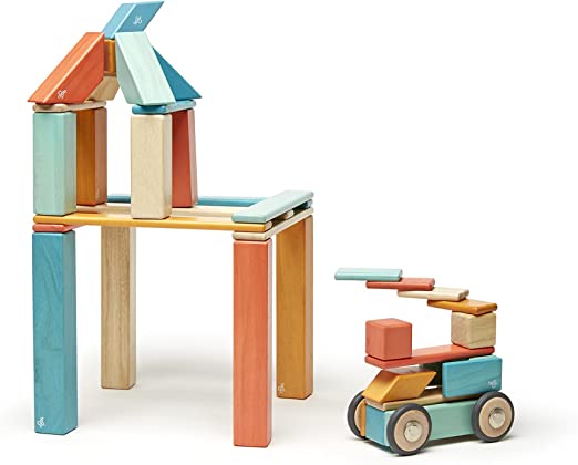Tegu-42 Piece Magnetic Wooden Block Set