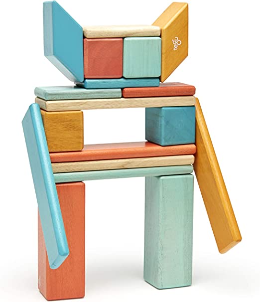Tegu-24 Piece Magnetic Wooden Block Set