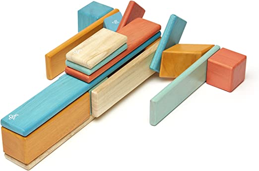 Tegu-24 Piece Magnetic Wooden Block Set