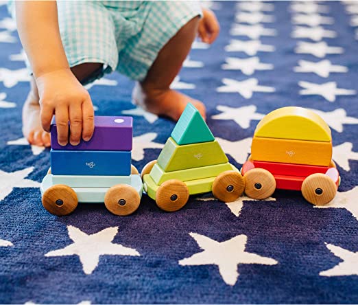Tegu-Magnetic Shape Train
